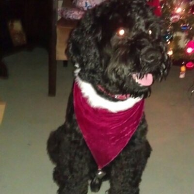 Profile Picture of Jeanette Harris (@Nettie_n_Del) on Twitter