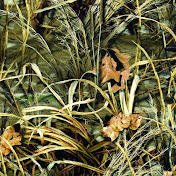 Profile Picture of Tyler Browder (@tylerbrowder4642) on Youtube