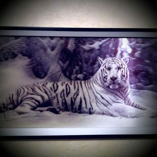 Profile Picture of Anne Ducret (@anne.ducret.5036) on Facebook