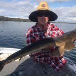 Profile Picture of Brian McClelland (@brian_mc82) on Instagram