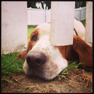Profile Picture of Brittany Blythe (@brittany_blythe) on Twitter