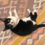 Profile Picture of Kris Scott (@literallykristi) on Instagram