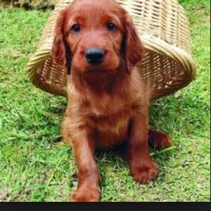 Profile Picture of Camden (@camdenmeyer) on Myspace