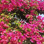 Profile Picture of Niraj Pathak (@nirajpathak5238) on Youtube