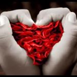 Profile Picture of Yolanda (@yolanda_cabanas) on Instagram