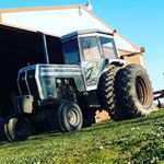 Triple OG - Instagram Profile Picture of Triple OG (@jake_russell_farm) on Instagram