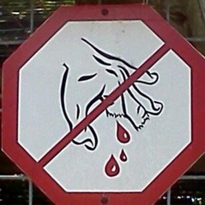 Profile Picture of Matthew Peppler (@Turtlehunter91) on Twitter