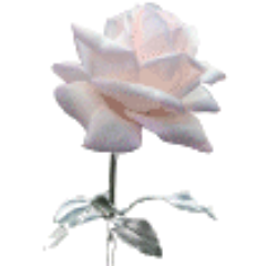 Profile Picture of Mel Davies (@MelRiverLady) on Twitter