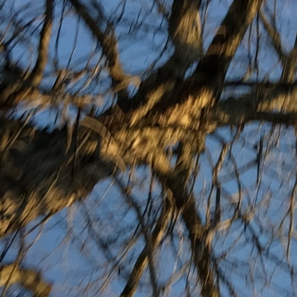 Ronald Sheard - Poshmark Profile Picture of Ronald Sheard (@reezy33) on Poshmark