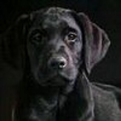 Profile Picture of Mike Brinkman (@Jedi723) on Twitter