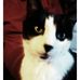 Profile Picture of Cindy Weis (@cindy.weis) on Facebook