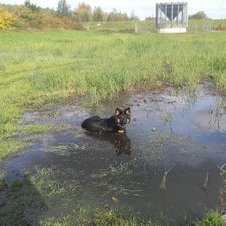 Profile Picture of Jessica Vd Windt (@Jessicavdwindt) on Twitter