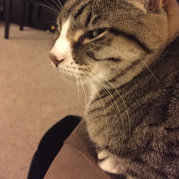 Profile Picture of Char Strand (@charlene00) on Poshmark