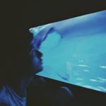 Profile Picture of David Miranda (@david.miranda.plasencia) on Instagram