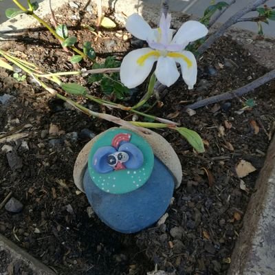 Profile Picture of Tracy Downing-Adamo (@tombieSA) on Twitter