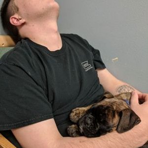 Profile Picture of Josh Hungerford (@ITripUpStairs) on Twitter
