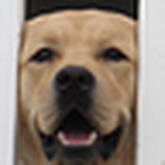 Profile Picture of Erik Novak (@emnovak) on Flickr