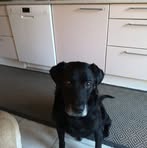 Profile Picture of Michael Mouritzen (@michael.mouritzen.96) on Facebook