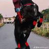 Profile Picture of Mario Lugo (@mariolugo5) on Tiktok