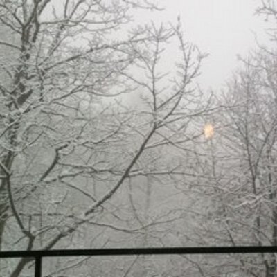 Profile Picture of Peter Jelle Zeiss (@PeteristwittinG) on Twitter