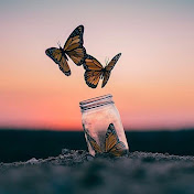 Profile Picture of Crystal Calderon🦋 (@crystalcalderon3311) on Youtube