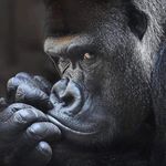 Profile Picture of Adam Stiltner (@adam.stiltner) on Instagram