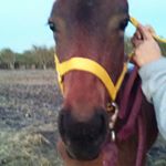 Profile Picture of vianey aguayo cisneros (@vianeyaguayocisner) on Instagram