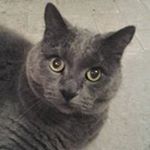 Profile Picture of Jason Stocker (@jasnstocker) on Instagram