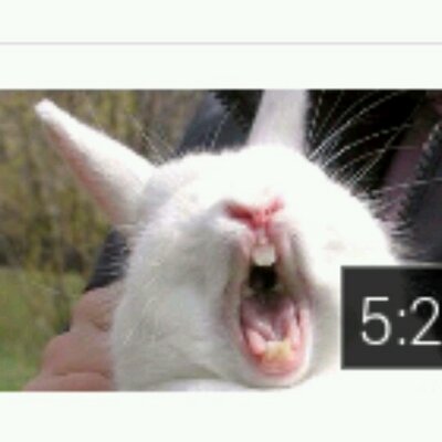 Profile Picture of Daniel Debolt (@debolt90) on Twitter