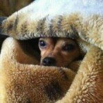 Profile Picture of Jeff MacMillan (@heffy1967) on Instagram