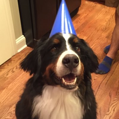 Profile Picture of Greg Corum (@gcorum5814) on Twitter