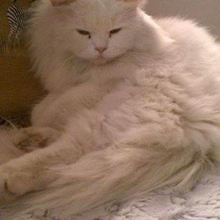 Profile Picture of Amy Sampulna (@amy.sampulna.9) on Facebook