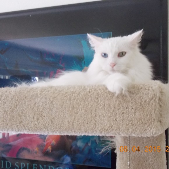 Profile Picture of Susan Verdier (@2018warrior) on Poshmark