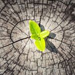 Profile Picture of Jordan Hurd (@jordan.hurd.1481) on Instagram