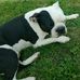 Profile Picture of Search instead for Traian Aleca (@Traian-Aleca) on Facebook