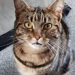 Profile Picture of Colin Mckay (@Colin-Mckay) on Facebook