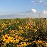 Profile Picture of Beska Teni Vilasevic (@beskateni) on Instagram