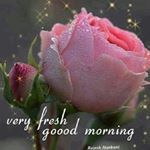 Profile Picture of Nasim Anwar (@nasim.anwar.948) on Instagram