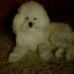 Profile Picture of Lisa Klinghoffer (@lisa.klinghoffer.9) on Facebook