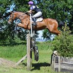Profile Picture of Jess Campbell (@jesscampbelleventingvet) on Instagram