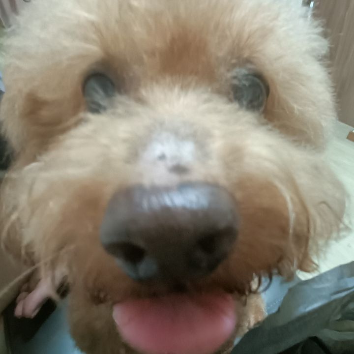 Profile Picture of glenden (@gerlenden) on Tiktok