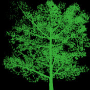 Chase Park Church Of Christ - Youtube Profile Picture of Chase Park Church Of Christ (@cpcofc) on Youtube