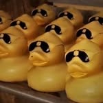 Profile Picture of Robert Heaslip (@graftonbob) on Instagram