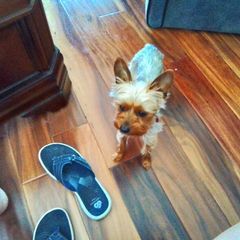 Profile Picture of marinewyant (@marinewyant) on Tiktok