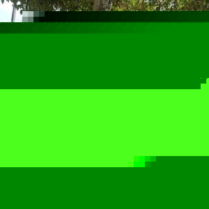 Profile Picture of Nancy Jeronimo Gomez (@430505964) on Myspace