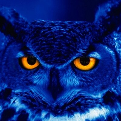 Profile Picture of Tiffany (@8lue0wl) on Twitter