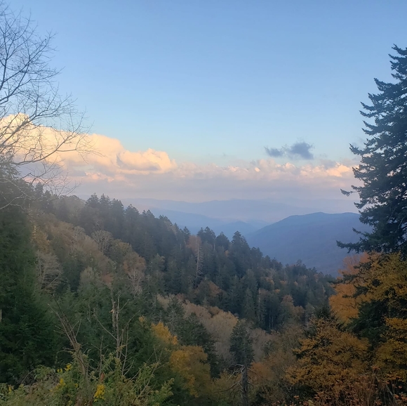 Brenda Drugan - Poshmark Profile Picture of Brenda Drugan (@bdrugan) on Poshmark