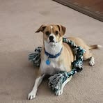 Lori Cryer - Facebook Profile Picture of Lori Cryer (@lori.cryer) on Facebook