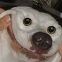 Profile Picture of Maximiliano Lara Meza (@maximiliano-lara-meza) on Quora