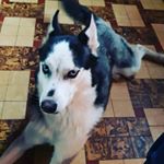 Profile Picture of Stephen Hendrickx (@stephenhendrickx) on Instagram